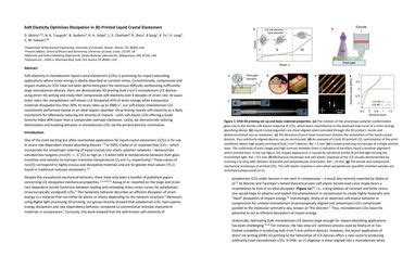 Soft elasticity optimises dissipation in 3D